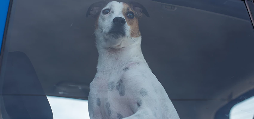 Car Lockout Solutions in Pollock Pines, California